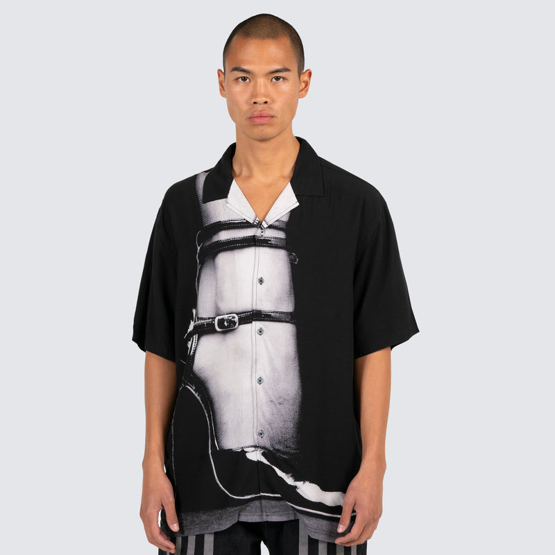 HORSES BUTTON DOWN