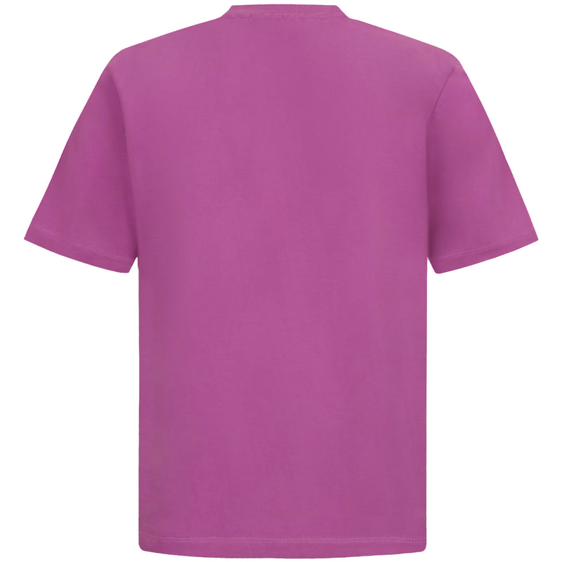 Divine Alchemy Tee (Mauve)