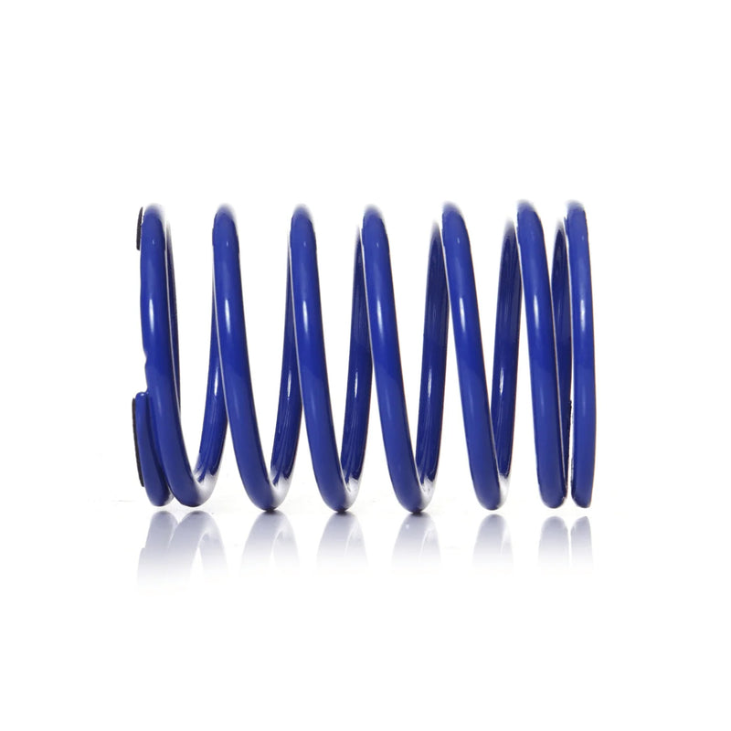 Spring Stand (Blue)