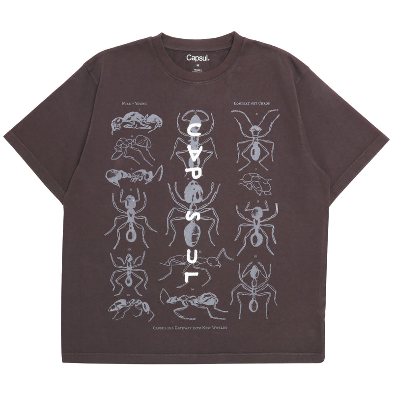 ANT FAM TEE (CAFÉ NOIR BROWN)