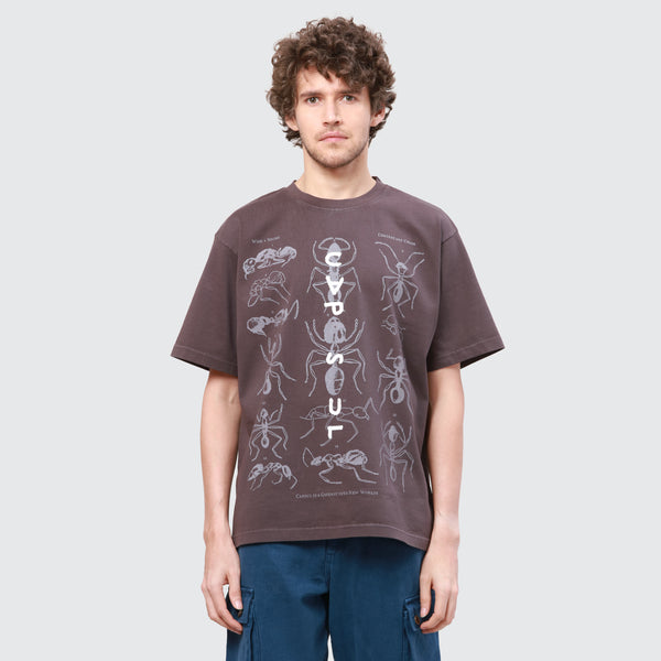 ANT FAM TEE (CAFÉ NOIR BROWN)