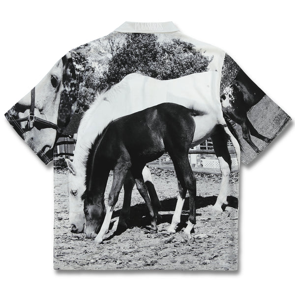 HORSES BUTTON DOWN