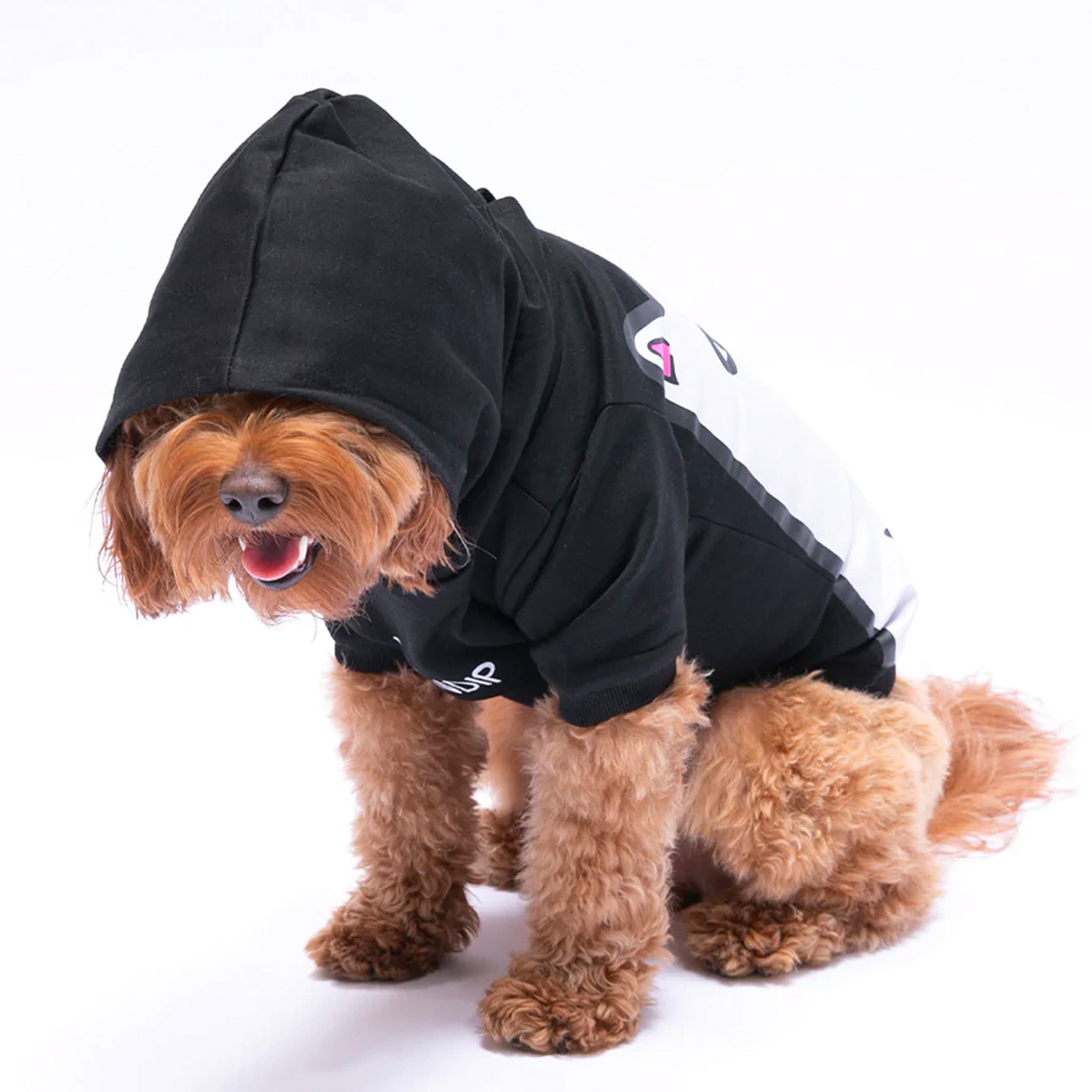 Lord Nermal Pet Hoodie (Black) – Capsul