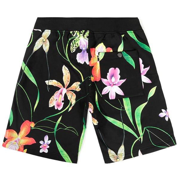 Novello Sweatshorts