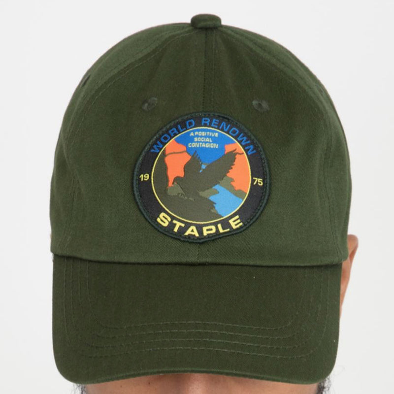 Staple Pigeon Field Tech Logo Dad Hat (Olive)