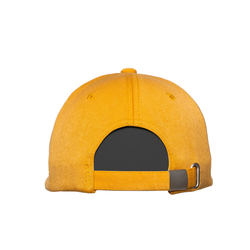 Community Services Cap