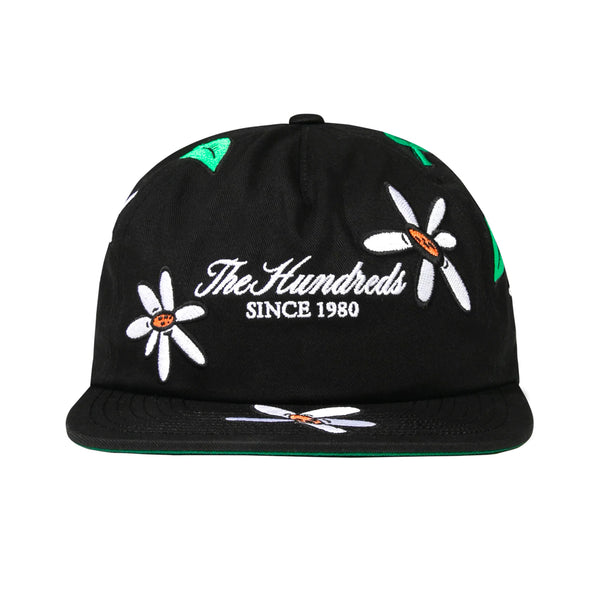 Ditsy Snapback