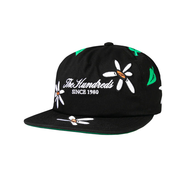 Ditsy Snapback