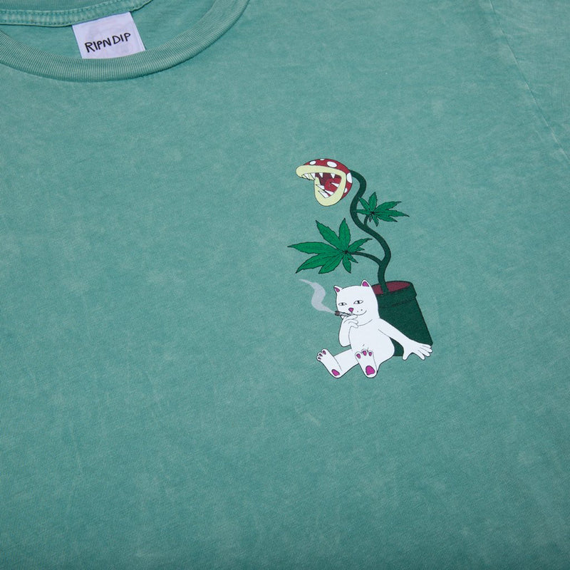 RIPNDIP Herb Eater Tee (Aqua Mineral Wash)