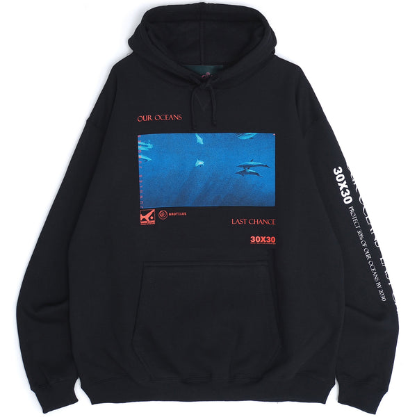 DOLPHINS HOODIE