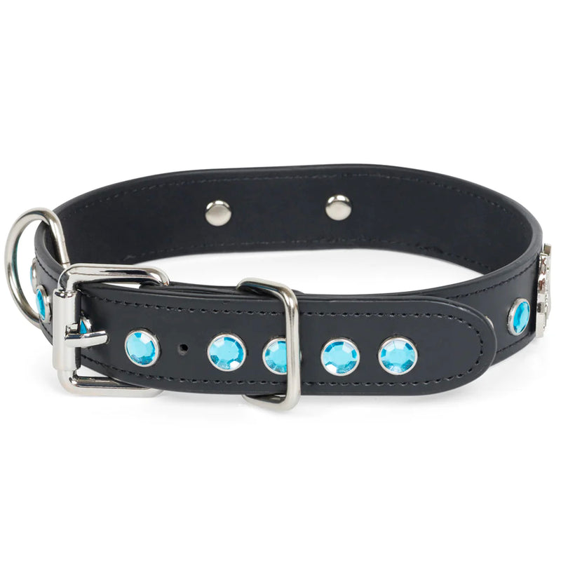 Lord Nermal Studded Pet Collar