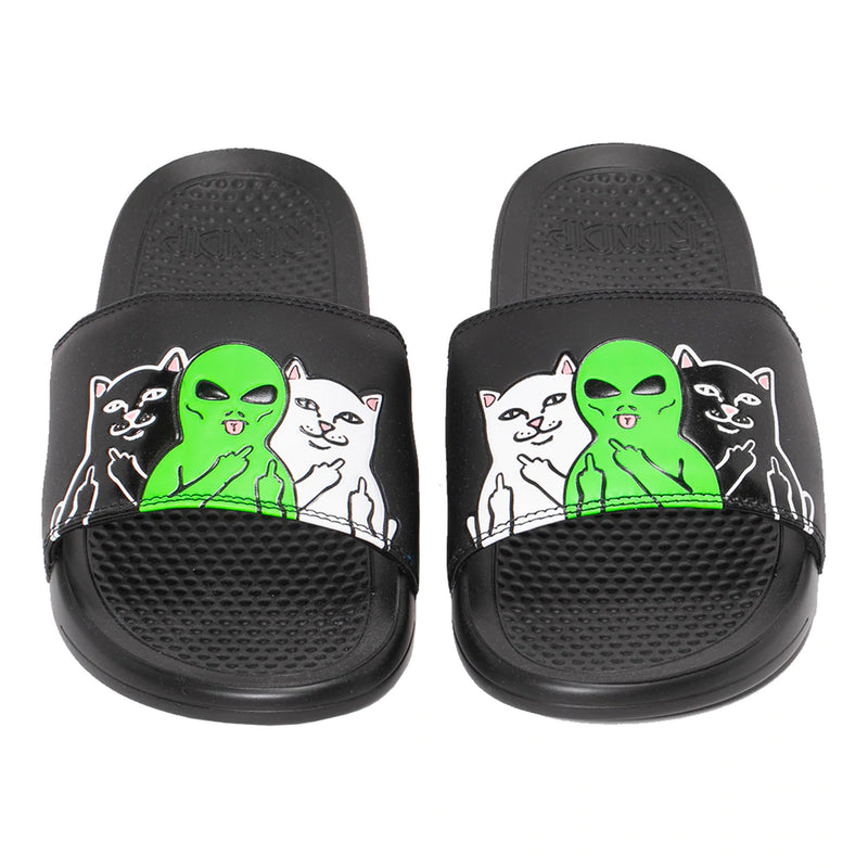 Whole Gang Slides