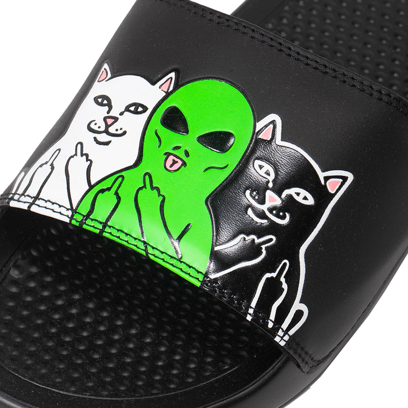 Whole Gang Slides