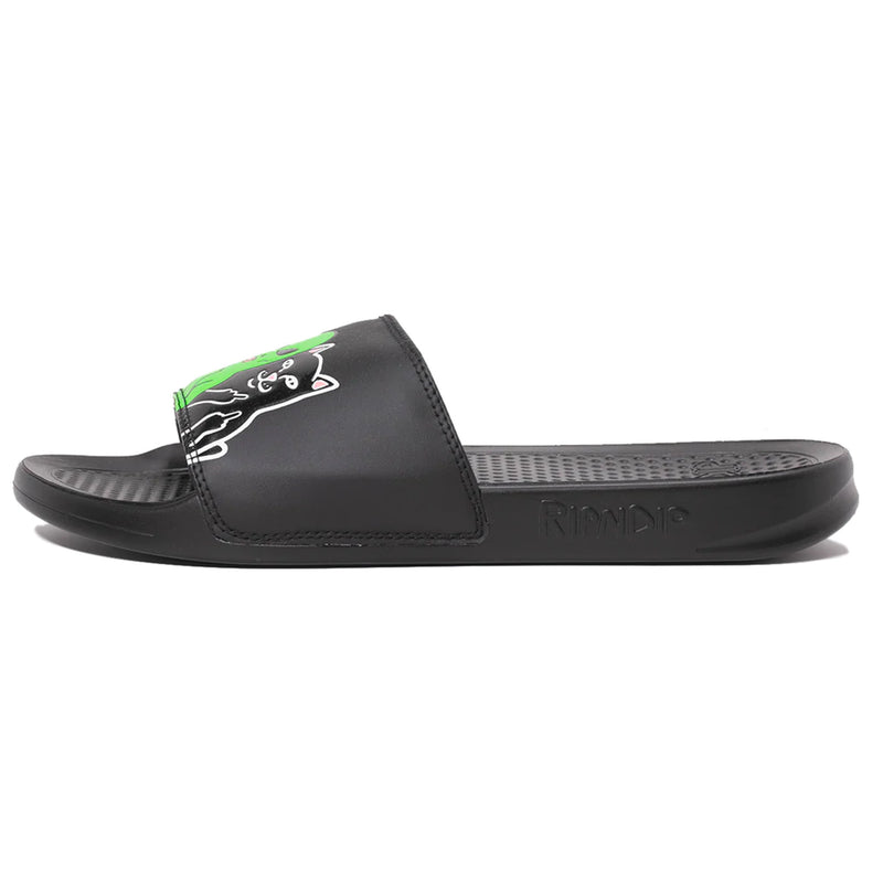 Whole Gang Slides